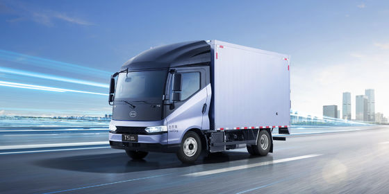 Truk ringan BYD T5DM