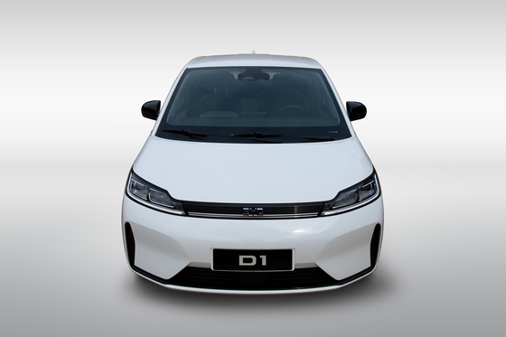 BYD D1 Hot Selling 418 Kilometer, Harga Terbaik Performance Mobil Listrik Dibuat di Cina, Performance Tinggi Kendaraan Energi Baru