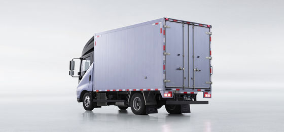 Truk ringan BYD T5DM