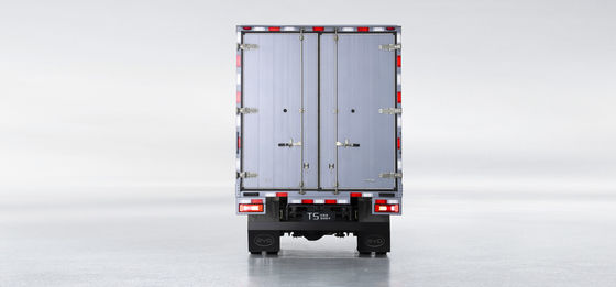 Truk ringan BYD T5DM